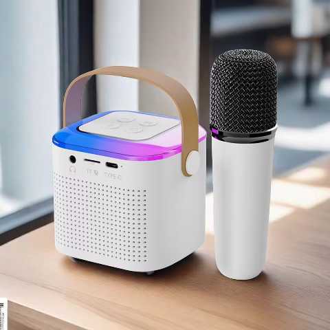 Microphone station karaoké