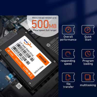 Disque dur ssd walram 256 GB