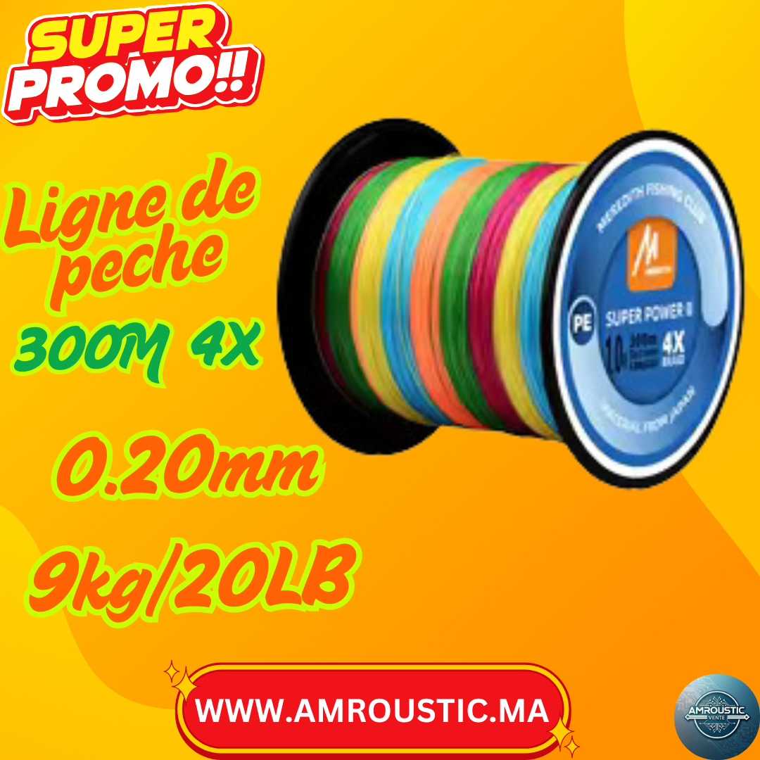 Ligne de pêche 0.20mm (300M 4X /20LB/9kg)