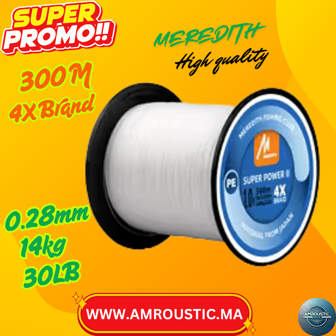 Ligne de pêche 0.28mm (300M 4X /30LB/14kg)