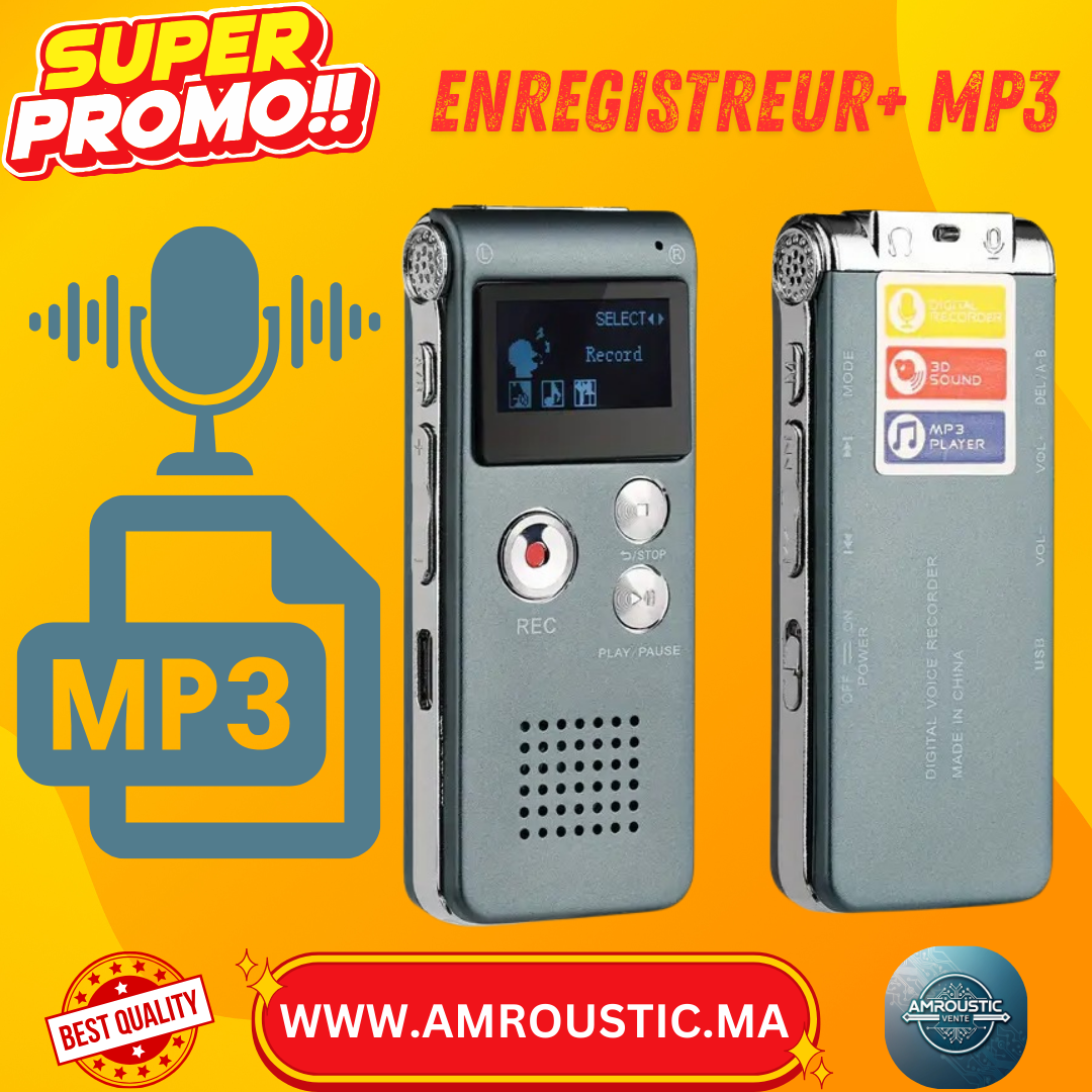 Enregistreur Numérique Multifonctionnel 8G