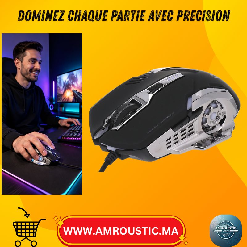 Souris Gaming RGB Filaire USB – Bouton DPI – Câble Tressé – Noir et Argent