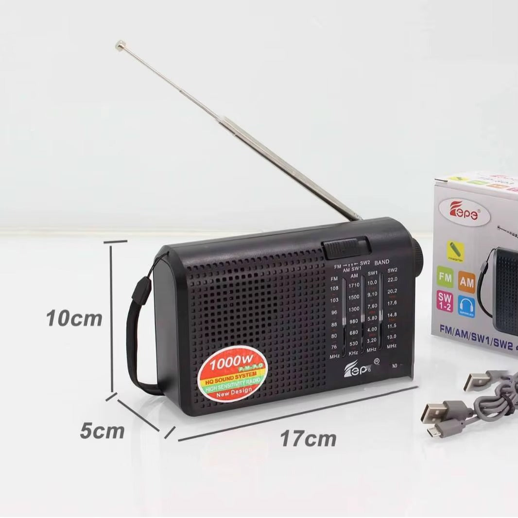 Radio FP-803 portable rechargeable 4 bandes FM AM SW1 SW2 avec antenne télescopique