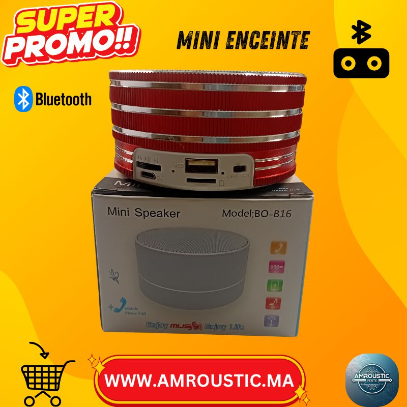 Mini Enceinte Bluetooth TELONG BO-B16 – USB + Carte TF (MicroSD) – Appel mains libres – BXS Bass – 68mm