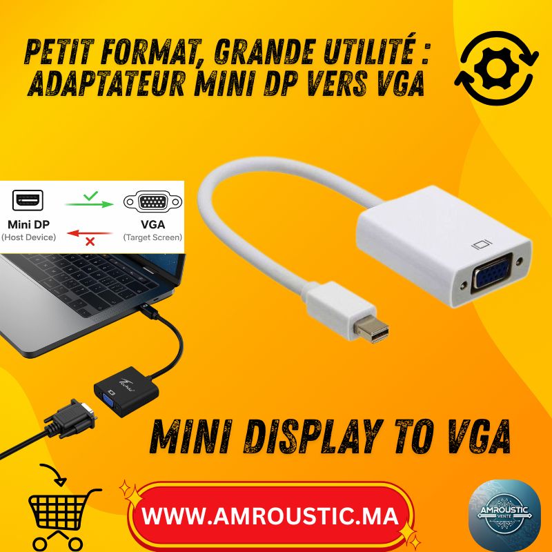 Adaptateur Mini DisplayPort vers VGA pour PC, Écran et Projecteur