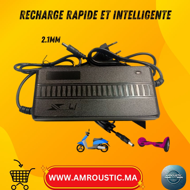 Chargeur Trottinette Électrique 42V/2A ou 54,6V/2A – Embout DC 5,5 × 2,1 mm