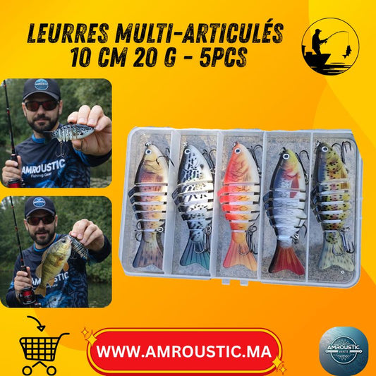 Ensemble de 5 leurres de pêche multi-articulés 10 cm 20 g imitation poisson effet 3D