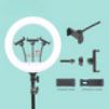 Ring light 14 pouce