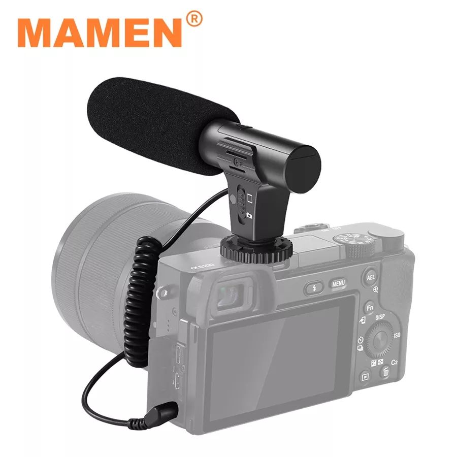 Microphone d'enregistrement