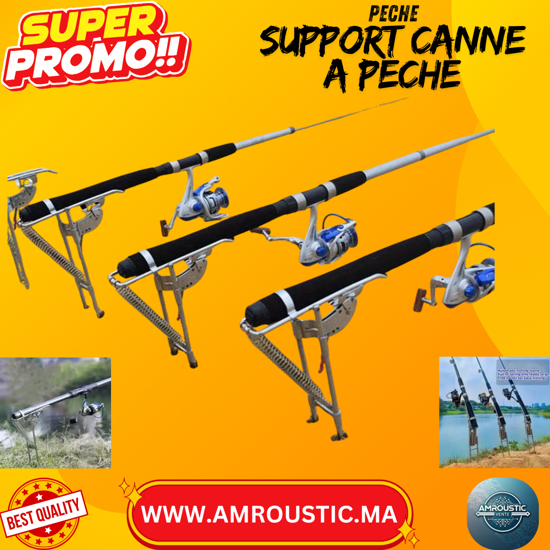 support canne a pêche double ressort