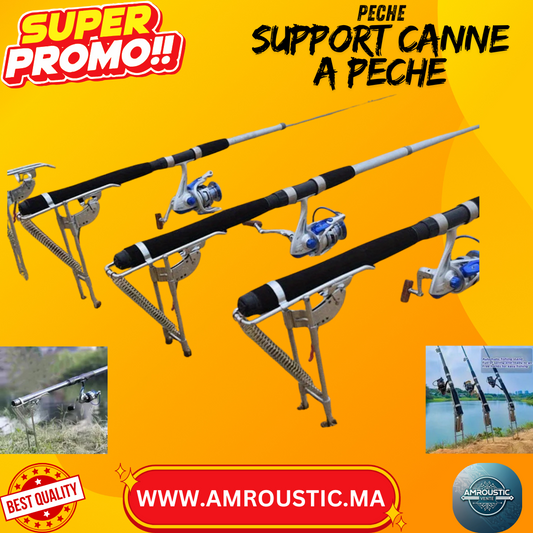 support canne a pêche double ressort