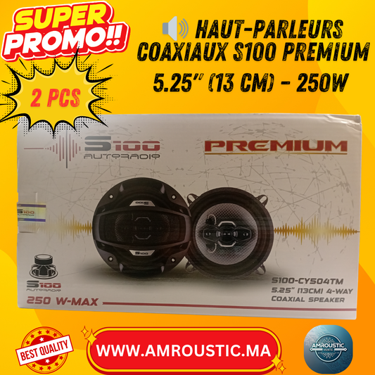 Haut-Parleurs Coaxiaux S100 Premium – 5.25" (13 cm) – 250W