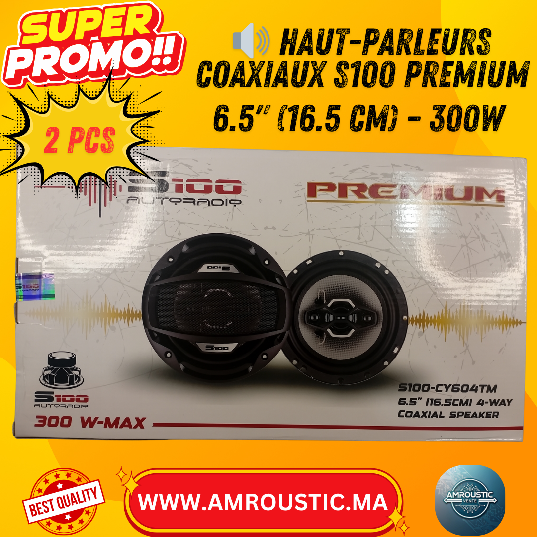 Haut-Parleurs Coaxiaux S100 Premium – 6.5" (16.5 cm) – 300W