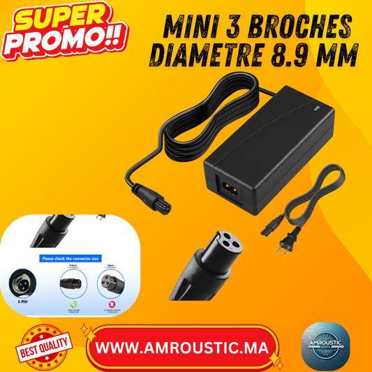Chargeur Intelligent 42-36V/2A Connecteur 3 Broches Mini (8.9 mm)