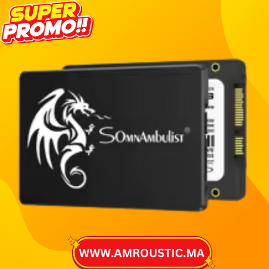 SSD 256GB 2.5 POUR PC PORTABLE
