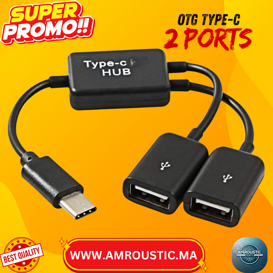 OTG TYPE-C 2 ports USB