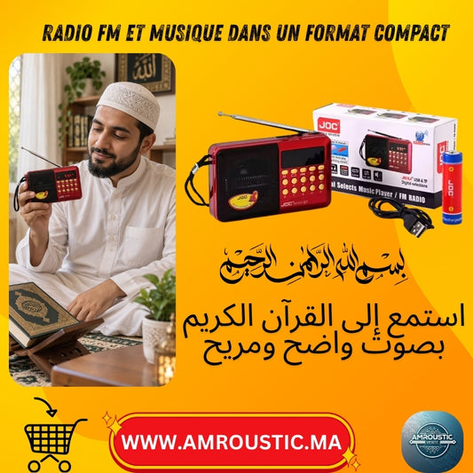 Radio FM Portable JOC H1011BT avec Bluetooth, USB, Carte TF et Batterie Rechargeable 18650