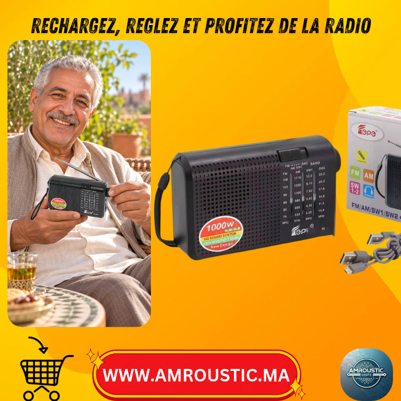 Radio FP-803 portable rechargeable 4 bandes FM AM SW1 SW2 avec antenne télescopique