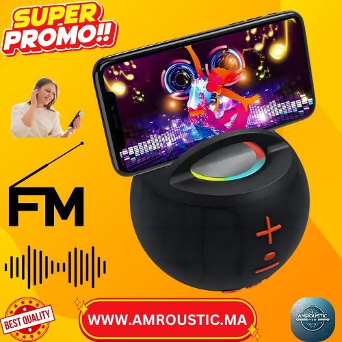 Enceinte Bluetooth S09U-1 TWS Hi-Fi