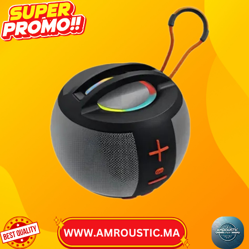 Enceinte Bluetooth S09U-1 TWS Hi-Fi