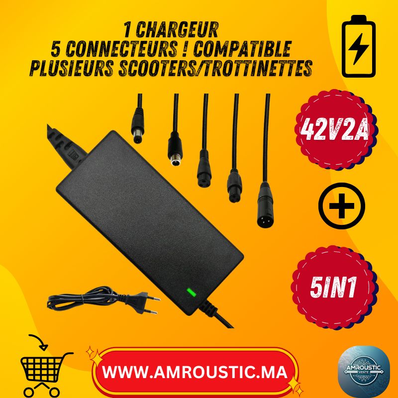 شاحن سكوتر كهربائي 42 فولت 2 أمبير - بطارية ليثيوم 36 فولت - 5 موصلات (تيار مستمر 5.5 مم / 8 مم / 12 مم / RCA / XLR) - مؤشر LED أحمر/أخضر