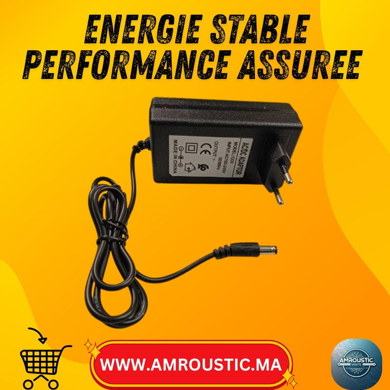 Adaptateur Secteur AC/DC 12V/3A ou 24V/2A (100–240V) – Prise EU + Jack DC 5.5×2.5mm