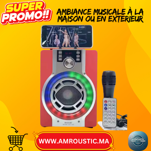 Haut-parleur Bluetooth Portable WSTER WS-602 – 50W, Son Puissant & Design Compact