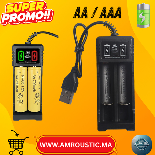 Chargeur de Piles Rechargeables USB 2-en-1 pour AA / AAA