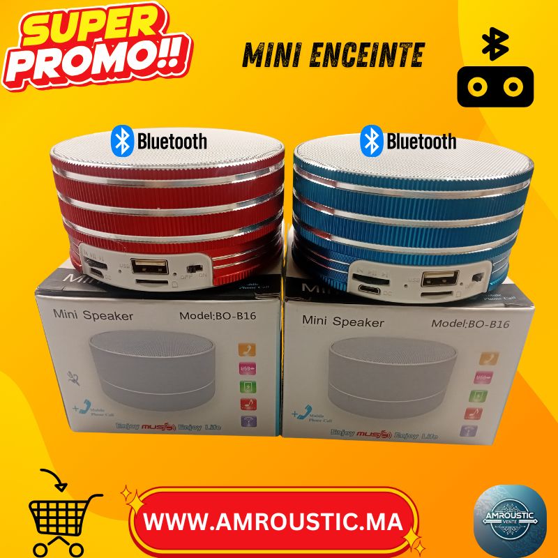 Mini Enceinte Bluetooth TELONG BO-B16 – USB + Carte TF (MicroSD) – Appel mains libres – BXS Bass – 68mm