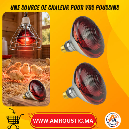 Ampoule chauffante infrarouge BONG BADA 250 W E27 pour poussins - 2 Pieces