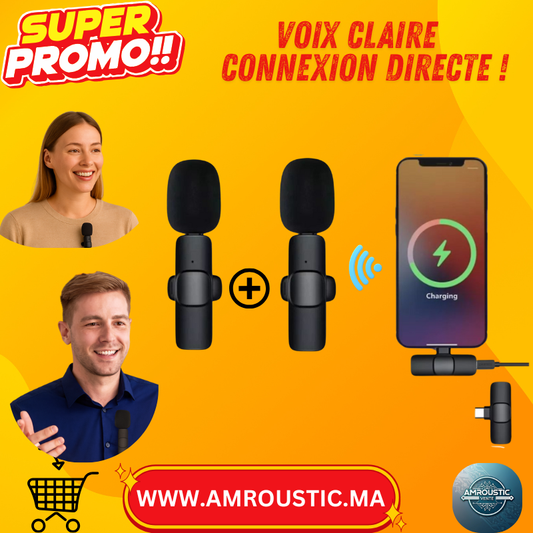 microphone lavallière Type-C 2PCS