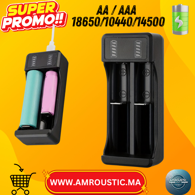 Chargeur Intelligent USB Type-C pour Batteries Lithium-Ion 3.7V – Double Slot LED