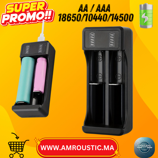 Chargeur Intelligent USB Type-C pour Batteries Lithium-Ion 3.7V – Double Slot LED